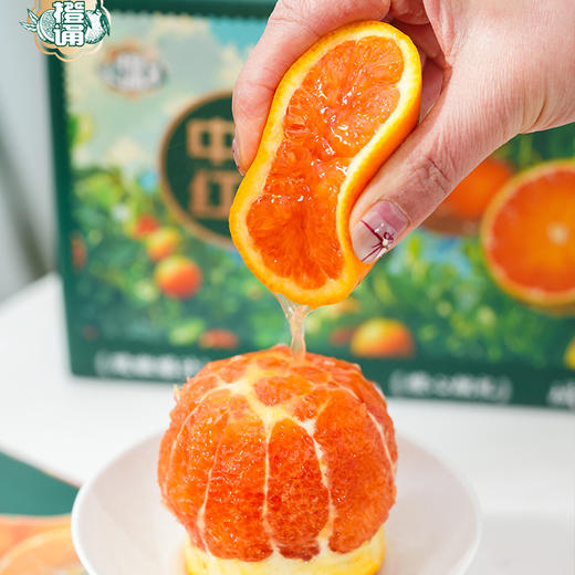 中华红橙 商品图4