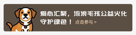 问卷