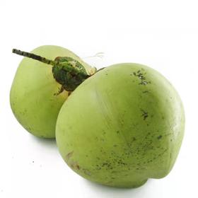 海南带皮椰子 1个