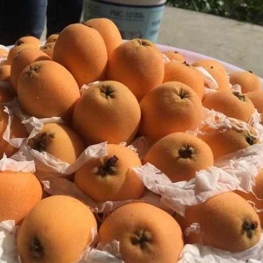 【四川攀枝花米易枇杷】淡淡的清甜，吃起来，软滑爽口，汁多鲜美 商品图9