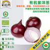 新鲜有机蔬菜 紫洋葱500g 欧盟认证京津冀满百包邮 商品缩略图0