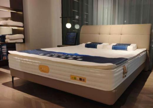 中派-床-LS-P1007（不含床垫） 商品图0