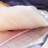 【顺丰冷链直发❗新鲜银鲳鱼】让您足不出户吃上新鲜海味，从深海到餐桌看得见的品质，特大鲜活冷冻白鲳鱼，速冻海捕野生海鱼L 商品缩略图3