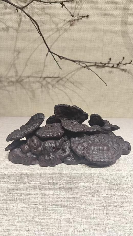 灵芝摆件/小叶紫檀28*8.5*9cm 商品图0