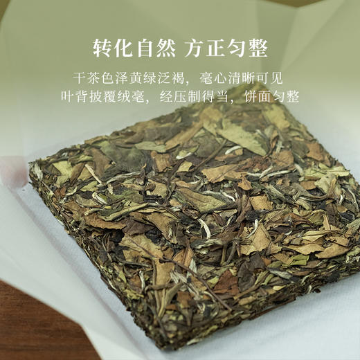 「北路白茶」灵蛇 福鼎白茶寿眉2021年老白茶生肖茶叶礼盒装200g 商品图1