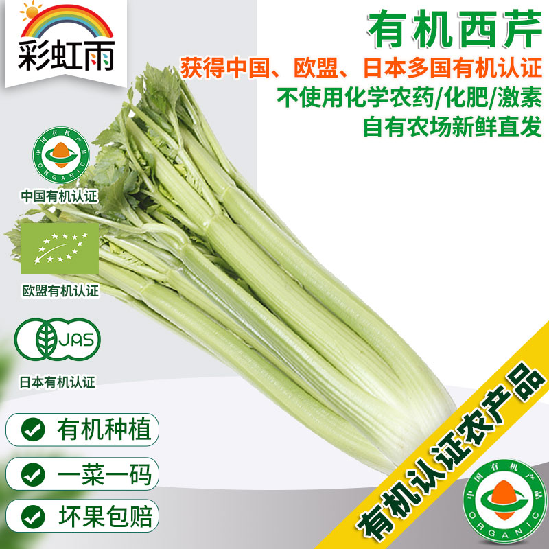 有机蔬菜 新鲜西芹400g欧盟认证 全国满额包邮