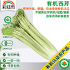 有机蔬菜 新鲜西芹400g欧盟认证 全国满额包邮 商品缩略图0