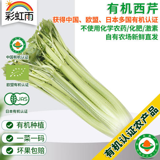 有机蔬菜 新鲜西芹400g欧盟认证 全国满额包邮 商品图0