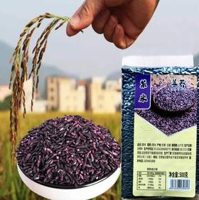 善荞 紫米500g*5袋