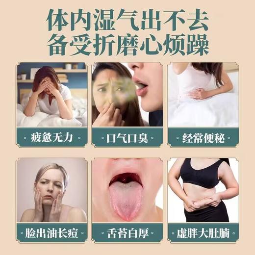 几仁堂茯湿膏 300g/瓶 商品图2