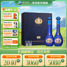 洋河 梦之蓝M6+礼盒 45度550mL 双支装