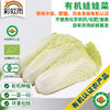 全国发货满额包邮 新鲜有机蔬菜娃娃菜400g 欧盟认证彩虹雨农场 商品缩略图0
