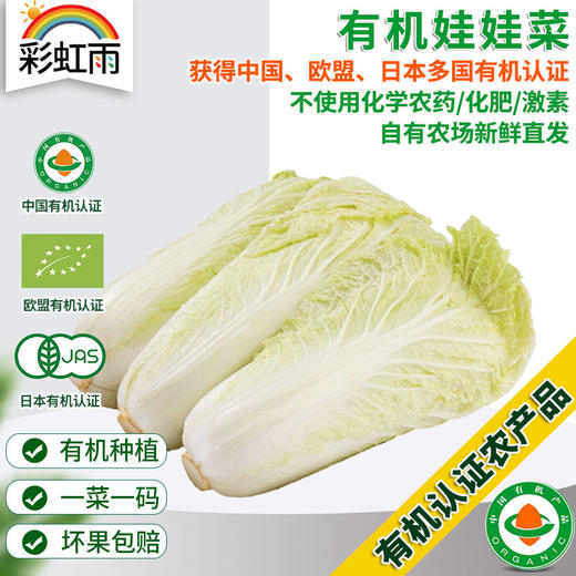 全国发货满额包邮 新鲜有机蔬菜娃娃菜400g 欧盟认证彩虹雨农场 商品图0