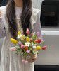 🌈春日限定-彩虹郁金香花篮 商品缩略图2