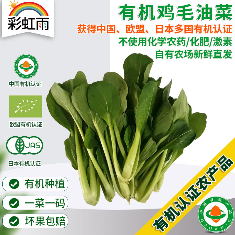 全国发货满额包邮 新鲜有机蔬菜 鸡毛油菜 250g 欧盟认证彩虹雨农场