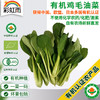 全国发货满额包邮 新鲜有机蔬菜 鸡毛油菜 250g 欧盟认证彩虹雨农场 商品缩略图0