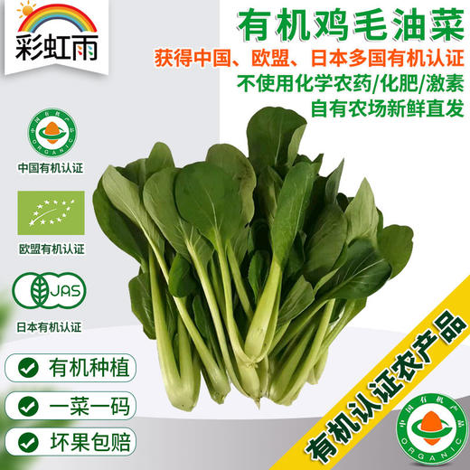 全国发货满额包邮 新鲜有机蔬菜 鸡毛油菜 250g 欧盟认证彩虹雨农场 商品图0