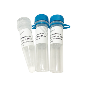 ClonExpress Ultra One Step Cloning Kit