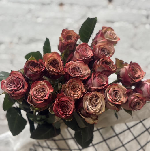 玫瑰·卡布奇诺 商品图1