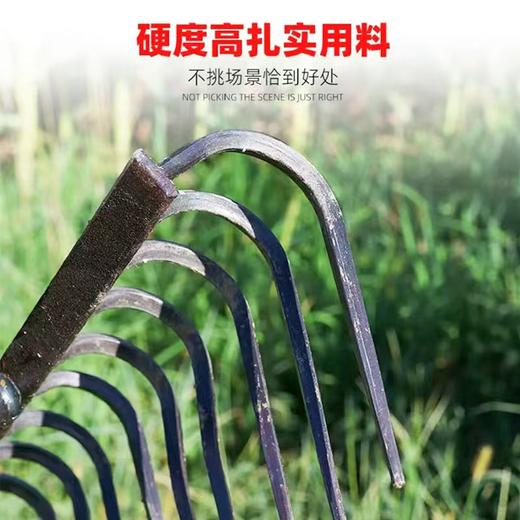 农用铁耙子平地搂草工具多功能刨地扒草农具九齿钉耙松土神器 商品图3