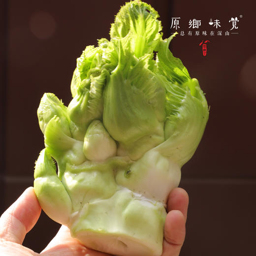 生态儿菜【含儿菜妈妈】（农场直发-顺丰包邮） | 4斤装，来自成都郫都【原乡农场，自产自销】 商品图5
