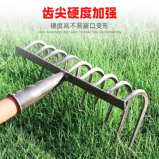 农用铁耙子平地搂草工具多功能刨地扒草农具九齿钉耙松土神器 商品图2