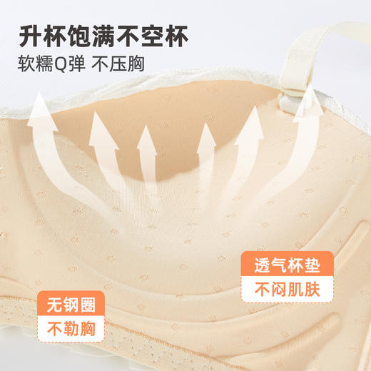 雅黛俪内衣女小胸聚拢显大上托防下垂收副乳性感文胸罩套装可拆卸肩带 商品图4