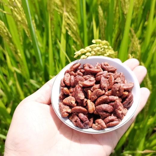 2025年新货临安山核桃仁 商品图2