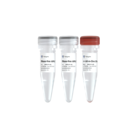 HiScript IV All-in-One Ultra RT SuperMix for qPCR
