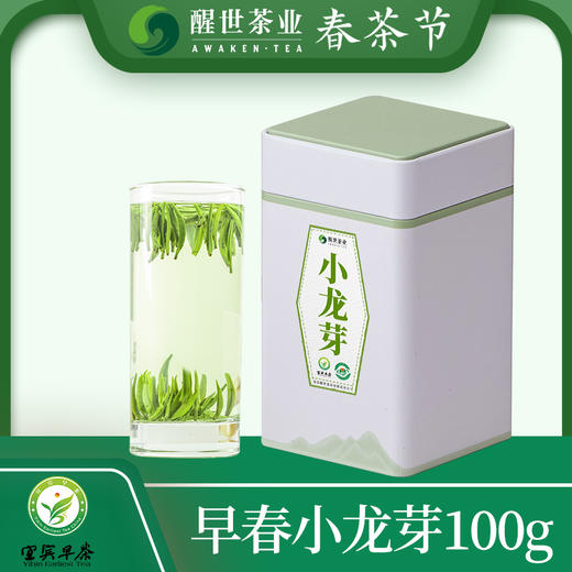 醒世茶业丨小龙芽 宜宾早茶 四川绿茶 明前特级 50g/100g 商品图0
