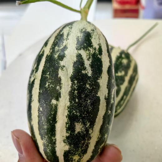 【宅享装】羊角蜜·1个·1斤左右 商品图2