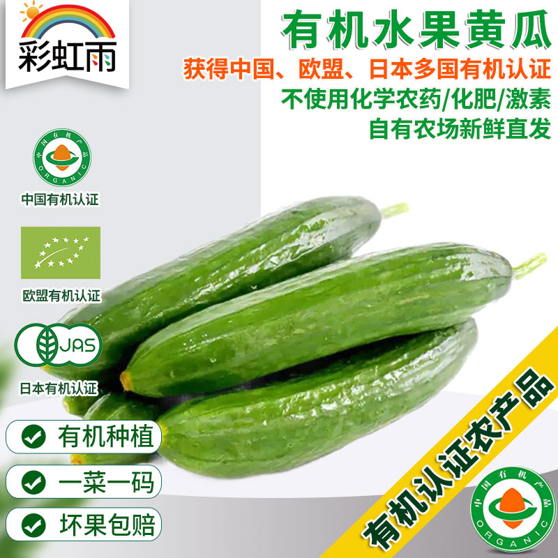 全国发货满额包邮 有机蔬菜 乳黄瓜 水果小黄瓜250g 欧盟认证彩虹雨农场