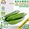 全国发货满额包邮 有机蔬菜 乳黄瓜 水果小黄瓜250g 欧盟认证彩虹雨农场 商品缩略图0