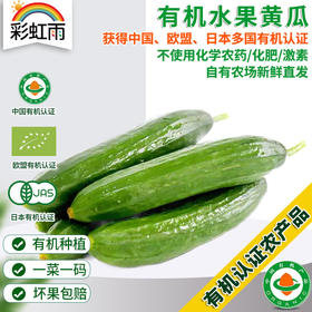 全国发货满额包邮 有机蔬菜 乳黄瓜 水果小黄瓜250g 欧盟认证彩虹雨农场