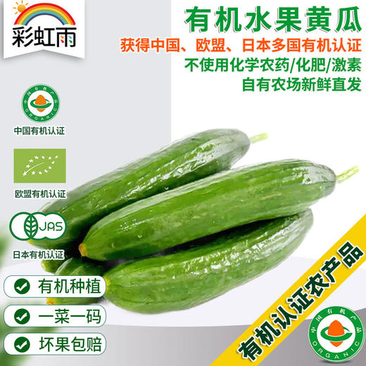全国发货满额包邮 有机蔬菜 乳黄瓜 水果小黄瓜250g 欧盟认证彩虹雨农场 商品图0