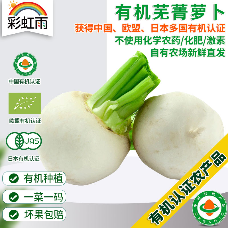 彩虹雨 有机蔬菜 有机小芜菁萝卜现摘250g 欧盟认证京津冀满百包邮