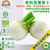 彩虹雨 有机蔬菜 有机小芜菁萝卜现摘250g 欧盟认证京津冀满百包邮 商品缩略图0