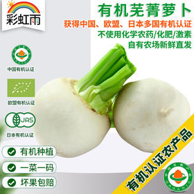 彩虹雨 有机蔬菜 有机小芜菁萝卜现摘250g 欧盟认证京津冀满百包邮