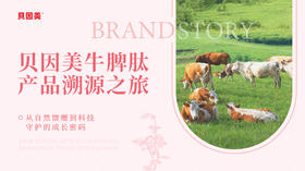 【贝因美】牛脾肽特膳饮品牌溯源