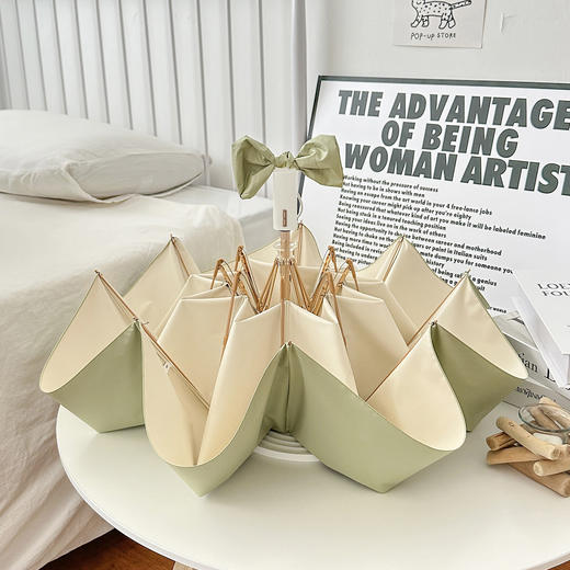 【莫兰迪雨伞】法式节节收防回弹自动伞 国风23寸女晴雨两用 国风高颜值 商品图9