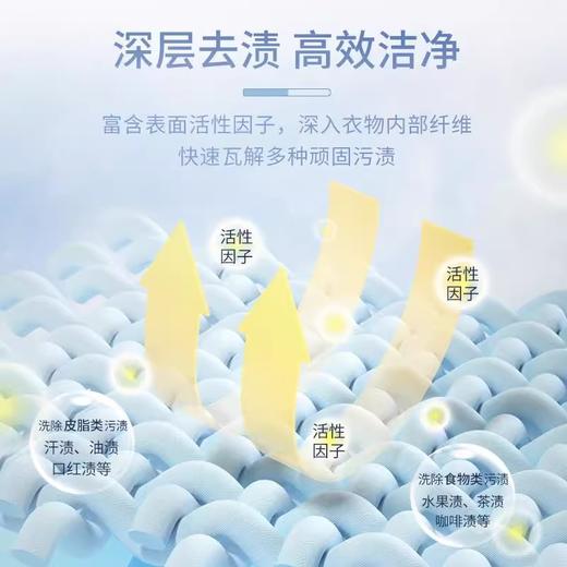 大公鸡管家 衣领净 商品图3