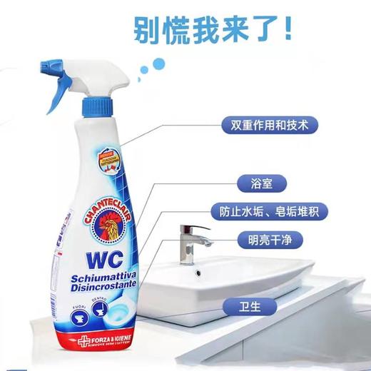 大公鸡管家 马桶洁厕液（漂白款）粉 商品图2