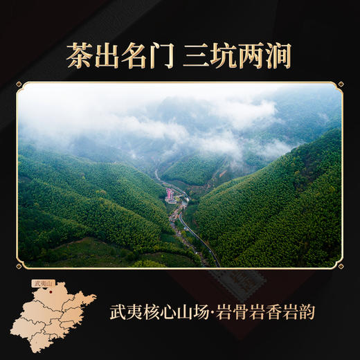 岩语 三两厚道大红袍礼盒装 
 正岩特级茶叶武夷岩茶送礼长辈60g 商品图3