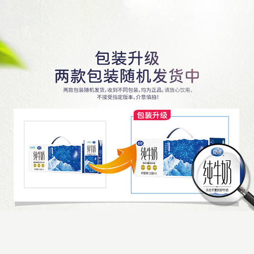 新希望夏进纯牛奶（2-7天发货） 商品图4