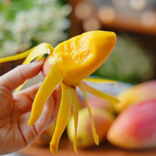 三亚贵妃芒（树上自然熟) 商品图2