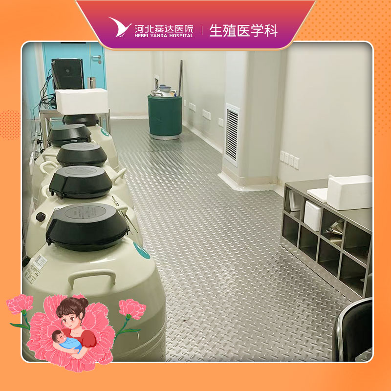 冷冻胚胎保存续费（1个月） 缴费成功后，不予退费