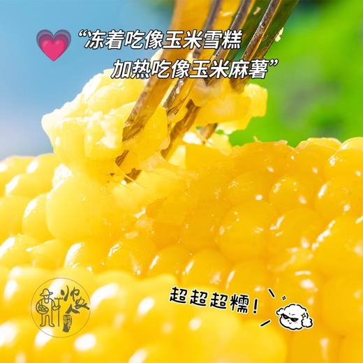 朴愿甄选   帅农人有机玉米|来自长白山脉的黑土味道 商品图1