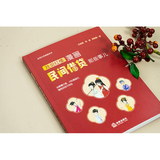 漫画民间借贷那些事儿：戏说红楼 苏晓蓉 周莹 梁晓馨著 法律出版社 商品图4