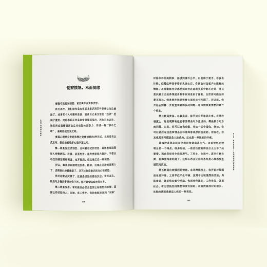 《生活中的情绪心理学：来自内心深处的福流》 商品图5