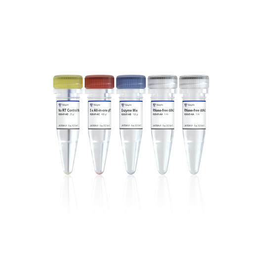 HiScript III All-in-one RT SuperMix Perfect for qPCR 商品图0